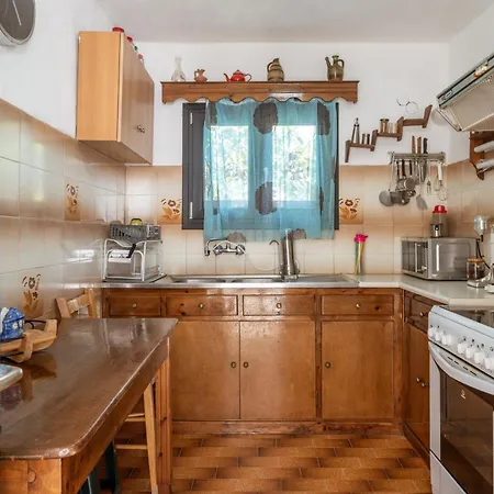 Andros Traditional House Episkopion (Andros)