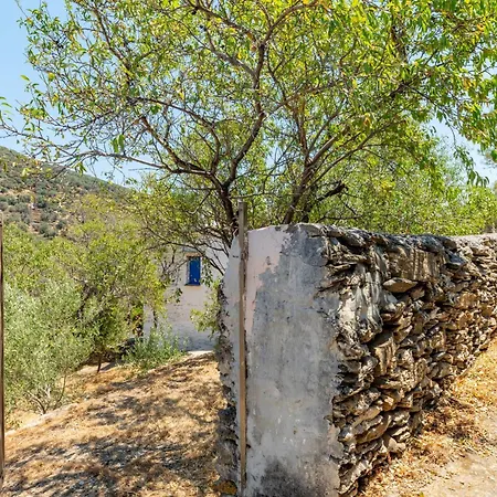 Tatil Evi Andros Traditional House *