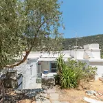 Andros Traditional House